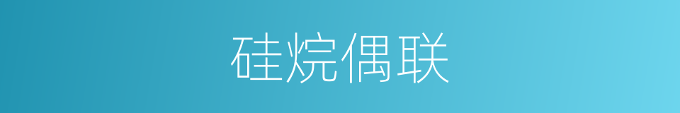 硅烷偶联的同义词
