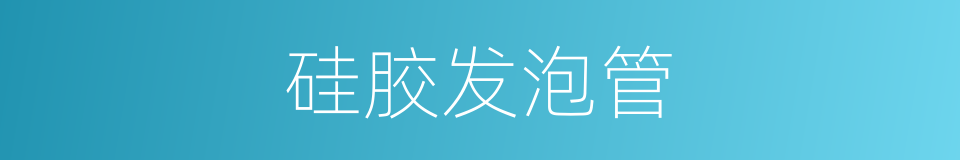 硅胶发泡管的同义词