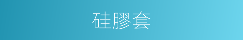 硅膠套的同義詞