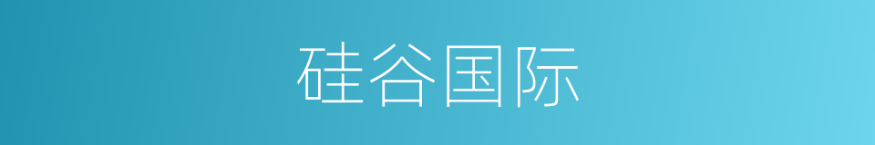硅谷国际的同义词