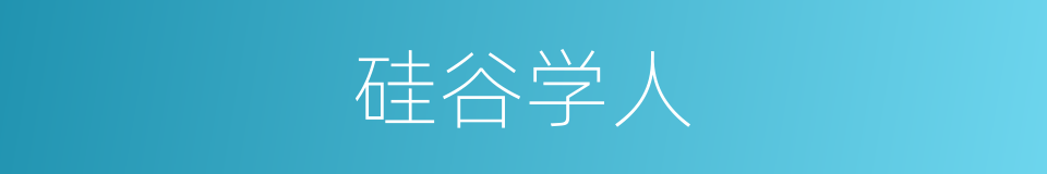 硅谷学人的同义词