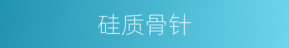 硅质骨针的同义词