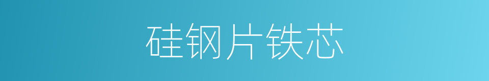硅钢片铁芯的同义词