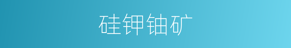 硅钾铀矿的同义词