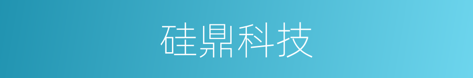 硅鼎科技的同义词