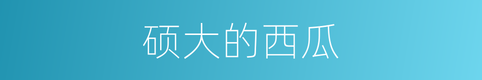 硕大的西瓜的同义词