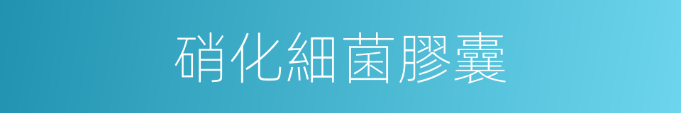 硝化細菌膠囊的同義詞