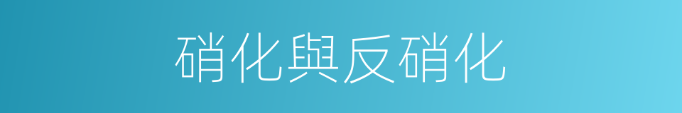 硝化與反硝化的同義詞