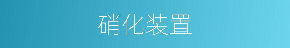 硝化装置的同义词