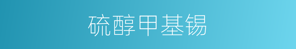 硫醇甲基锡的同义词