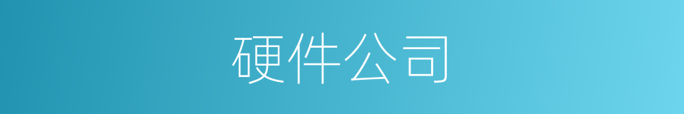 硬件公司的同义词