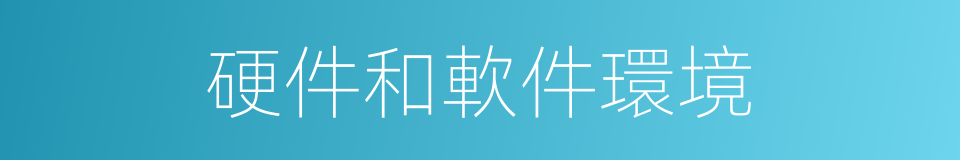 硬件和軟件環境的同義詞
