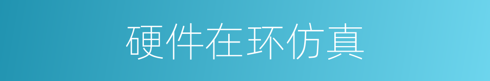 硬件在环仿真的同义词