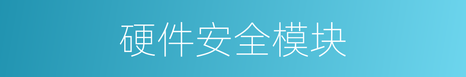硬件安全模块的同义词