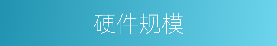 硬件规模的同义词