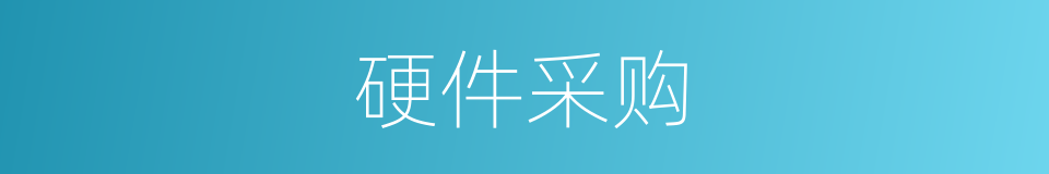 硬件采购的同义词