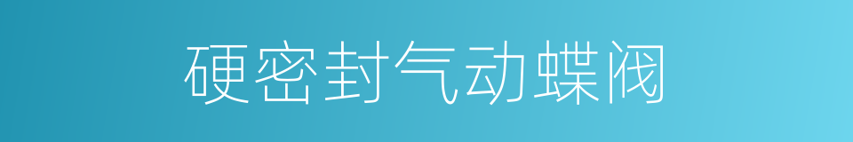 硬密封气动蝶阀的同义词