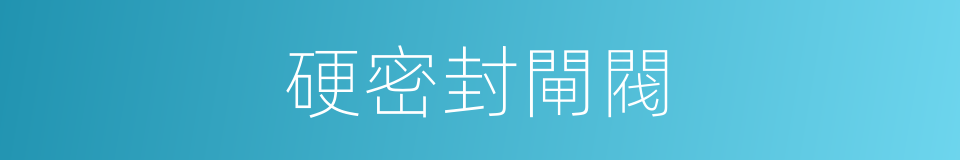 硬密封閘閥的同義詞