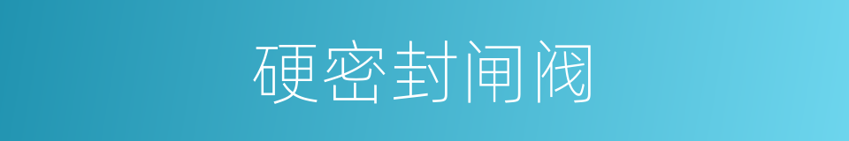硬密封闸阀的同义词