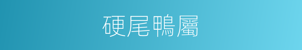硬尾鴨屬的同義詞