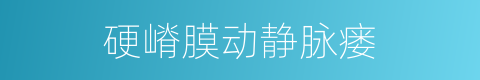 硬嵴膜动静脉瘘的同义词