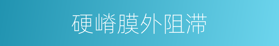 硬嵴膜外阻滞的同义词