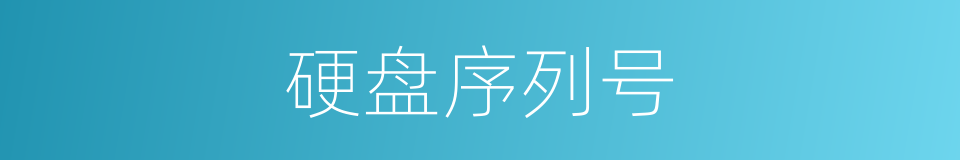 硬盘序列号的同义词