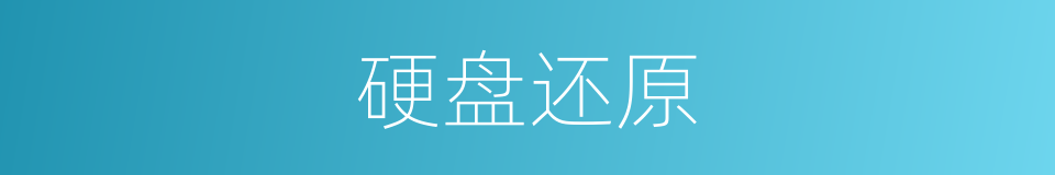 硬盘还原的同义词