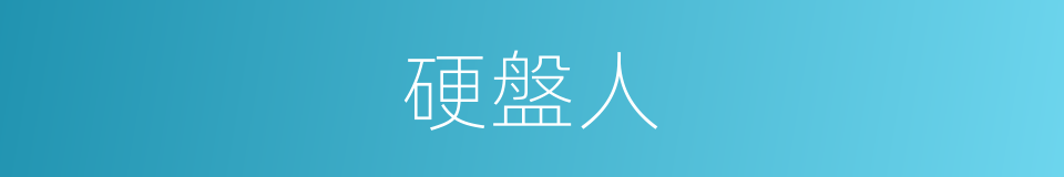 硬盤人的同義詞