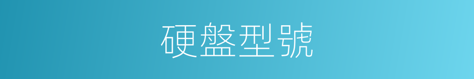 硬盤型號的同義詞