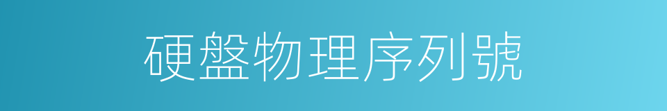 硬盤物理序列號的同義詞