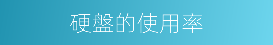 硬盤的使用率的同義詞