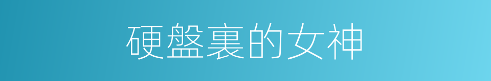 硬盤裏的女神的同義詞