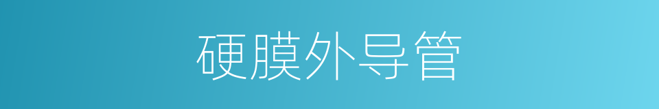 硬膜外导管的同义词
