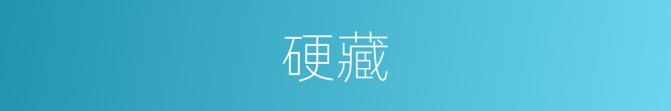 硬藏的同义词