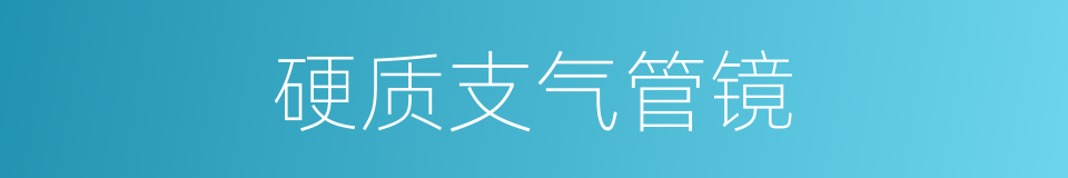 硬质支气管镜的同义词