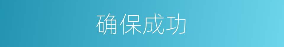 确保成功的同义词