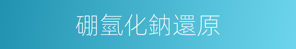 硼氫化鈉還原的同義詞