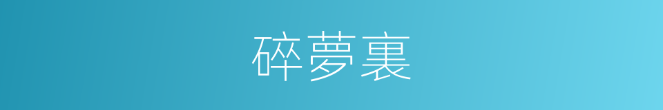 碎夢裏的同義詞