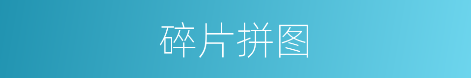 碎片拼图的同义词