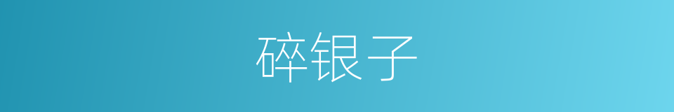 碎银子的同义词