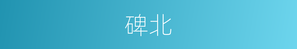 碑北的同义词