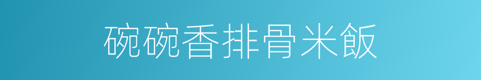 碗碗香排骨米飯的同義詞