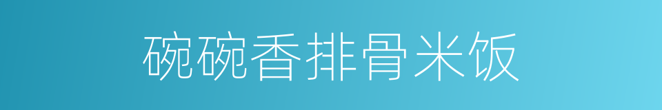 碗碗香排骨米饭的同义词