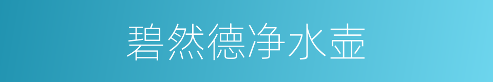 碧然德净水壶的同义词