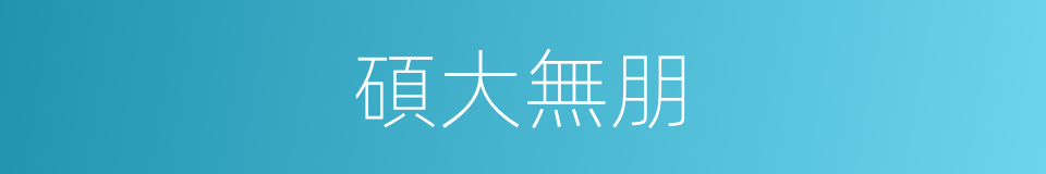 碩大無朋的意思