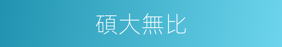 碩大無比的意思