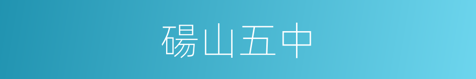 碭山五中的同義詞