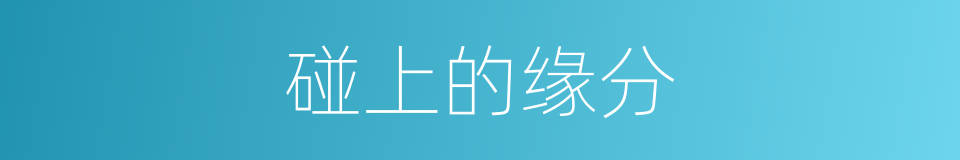 碰上的缘分的同义词