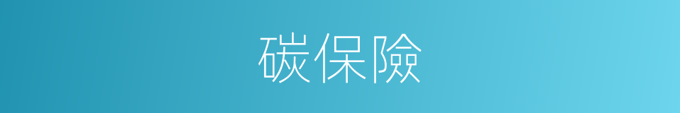 碳保險的同義詞